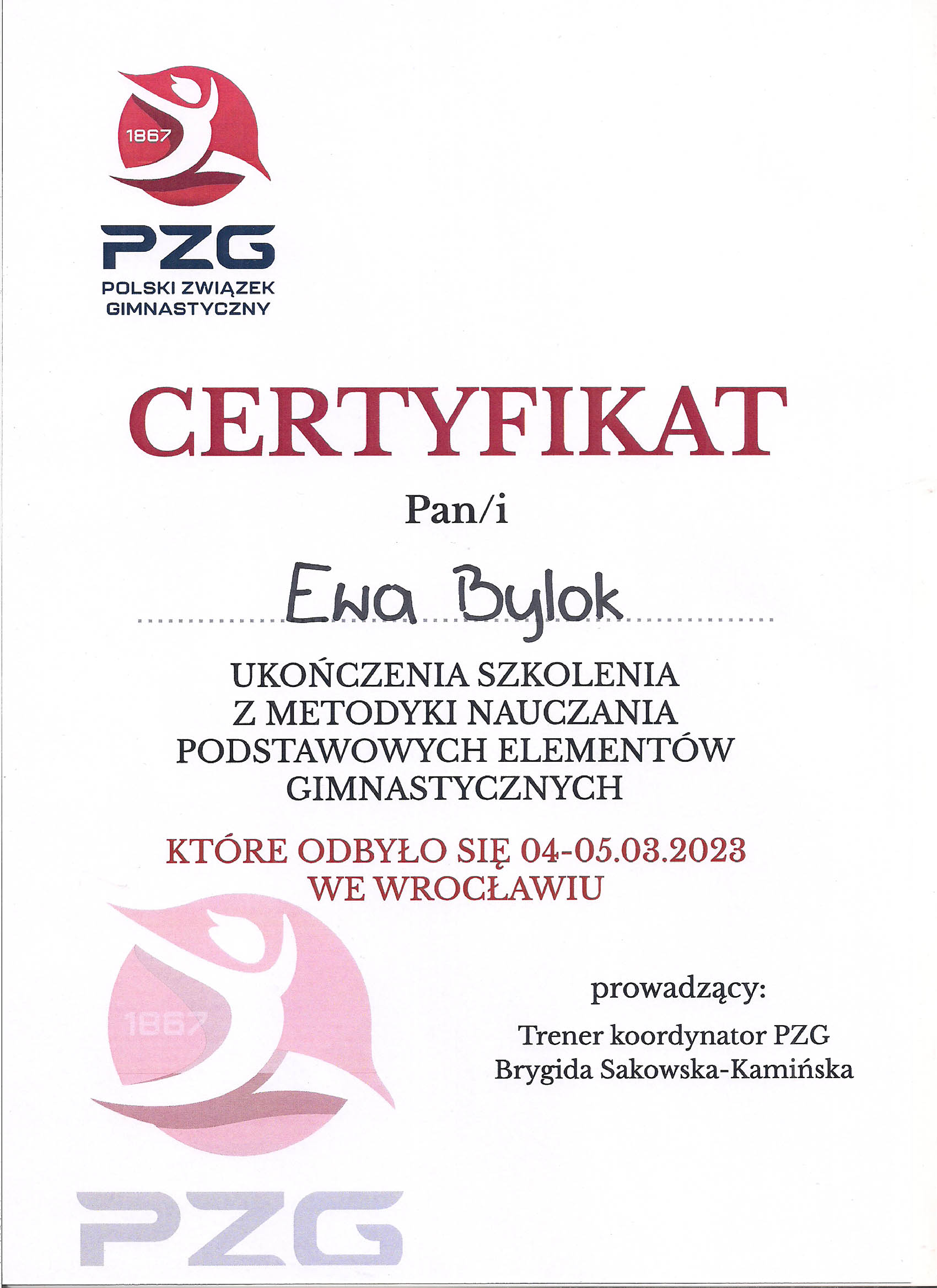 certyfikat 1 page 0001